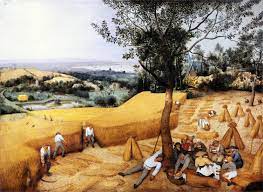 Pieter Bruegel The Elder the Harvesters